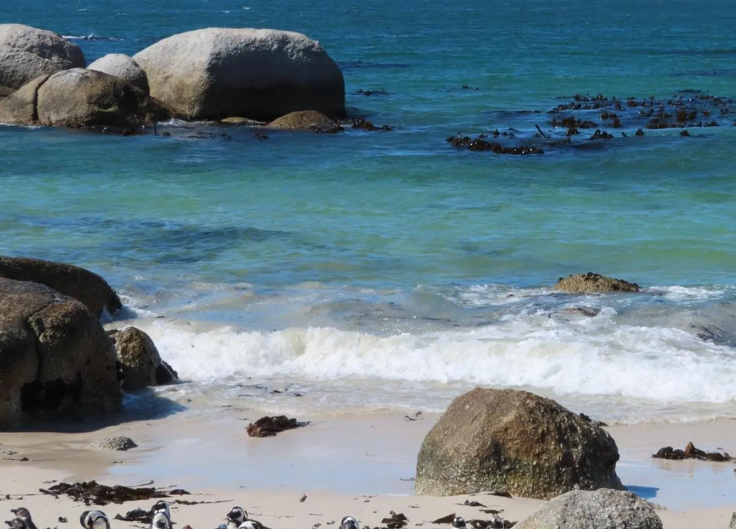 Bonne Esperance, Simon'S Town Apartment
