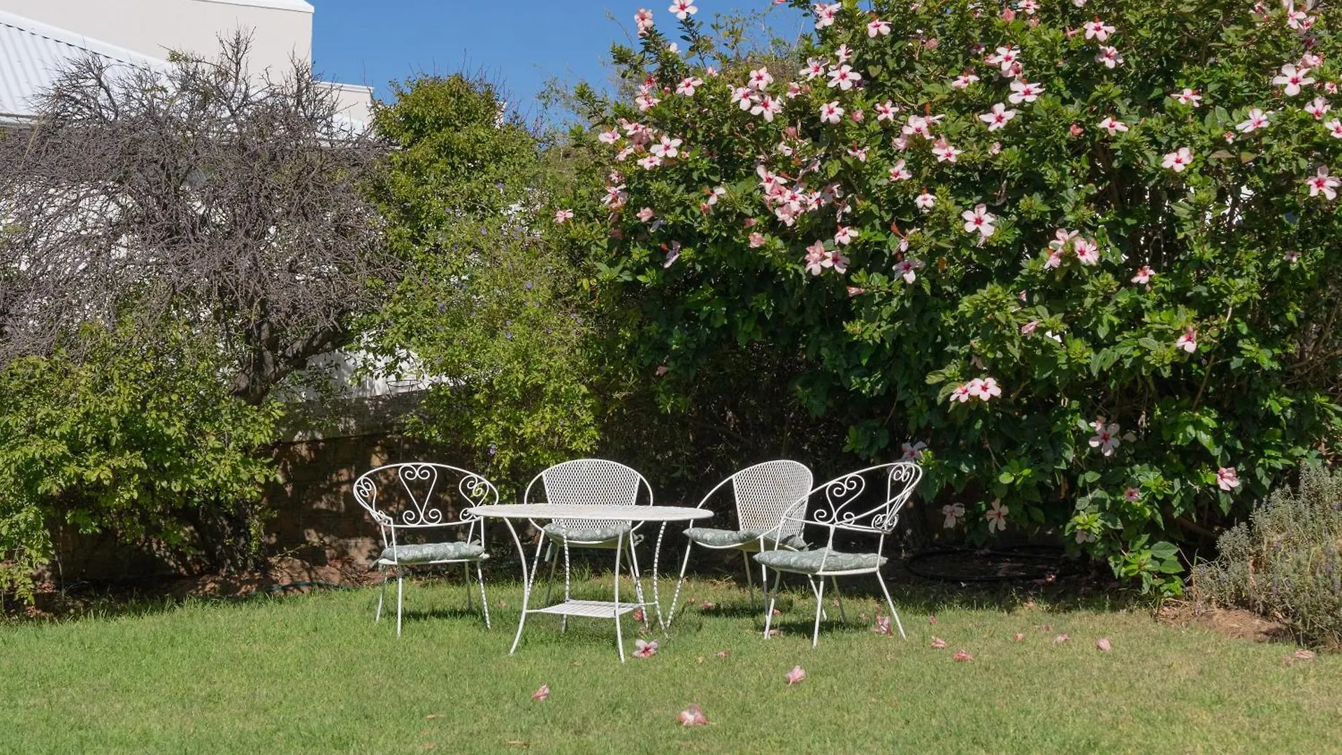 Bonne Esperance, Simon'S Town Apartment