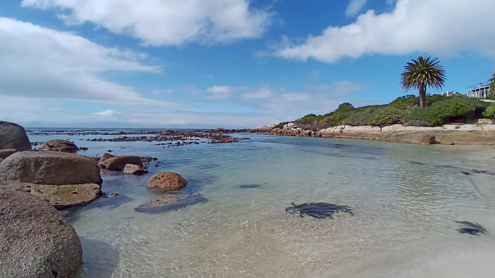 Bonne Esperance, Simon'S Town Apartment